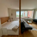 Rent 1 bedroom apartment of 35 m² in Bratislava