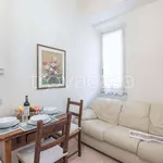 Rent 3 bedroom apartment of 55 m² in Firenze