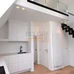 Rent 1 bedroom apartment in Bruxelles