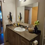 Rent 1 bedroom apartment in Eugene