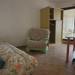 Rent 1 bedroom apartment in Montpellier