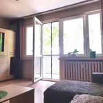 Rent 3 bedroom apartment of 64 m² in Łódź