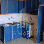 Rent 1 bedroom apartment of 47 m² in Municipal Unit of Akrata