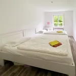 Rent 3 bedroom apartment of 100 m² in München