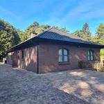 Rent 4 bedroom house in Kasterlee