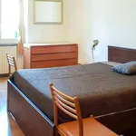 Rent 3 bedroom apartment of 80 m² in Milan