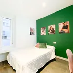 Rent 1 bedroom apartment in madrid