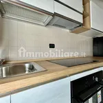 Rent 2 bedroom apartment of 50 m² in Lissone