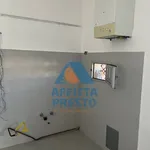 Affitto 2 camera appartamento di 50 m² in Pisa