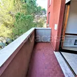 Appartamento in affitto a Vimodrone via Salvatore Quasimodo, 1, arredato, cantina, balcone - TrovaCasa