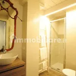 Rent 1 bedroom apartment of 50 m² in Turin