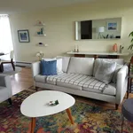 Rent 1 bedroom apartment in Halifax