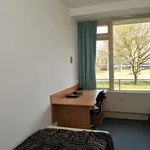 Huur 3 slaapkamer appartement van 70 m² in Tilburg