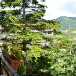 Rent 2 bedroom apartment of 42 m² in Ovindoli