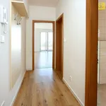 Rent 2 bedroom apartment of 59 m² in České Budějovice