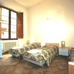 Rent 1 bedroom house of 21 m² in Siena