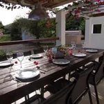 Rent 4 bedroom house in Ibiza