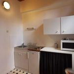 Rent 1 bedroom apartment of 32 m² in Tours