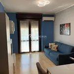 Rent 2 bedroom apartment of 55 m² in Milano