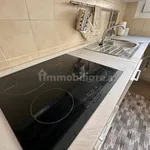 Rent 3 bedroom apartment of 40 m² in Turin