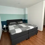 Rent 2 bedroom house of 110 m² in eindhoven