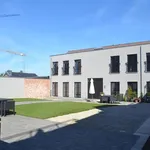 Rent 1 bedroom apartment in Zandhoven Pulle