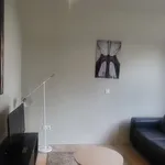 Rent 1 bedroom apartment in brussels