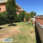 Rent 3 bedroom apartment of 100 m² in Rome