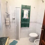 Rent 2 bedroom apartment of 65 m² in Viareggio