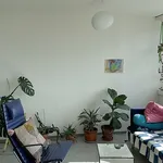 Rent 3 bedroom apartment in Zurich