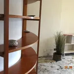 Rent 1 bedroom apartment of 70 m² in Turin