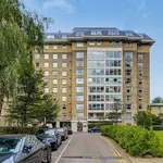 Rent 3 bedroom flat in London