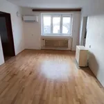 Rent 5 bedroom apartment in Strakonice