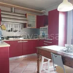 Rent 4 bedroom apartment of 100 m² in Colorno