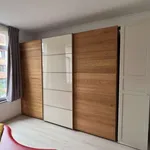 Rent 1 bedroom apartment in brussels