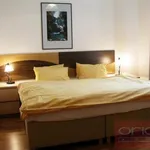 Rent 2 bedroom apartment of 48 m² in Praha 2