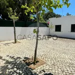 Rent 3 bedroom house of 130 m² in Albufeira