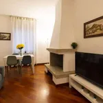 Rent 1 bedroom apartment in milan