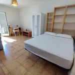 Rent a room in madrid