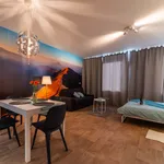 Rent 1 bedroom apartment of 46 m² in Brno