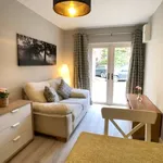 Rent 1 bedroom apartment in dublin