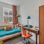 Rent 3 bedroom house in Brighton