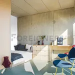 Rent 1 bedroom apartment of 24 m² in Brno