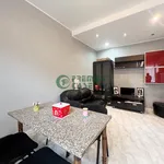 Rent 2 bedroom apartment of 50 m² in Turin