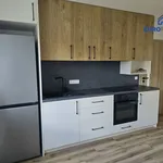 Pronájem bytu 2+1 55m²