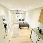 Rent 1 bedroom apartment in london