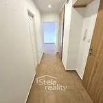 Rent 2 bedroom apartment of 55 m² in Bruntál