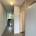 Huur 2 slaapkamer appartement van 54 m² in Arnhem