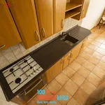 Rent 3 bedroom apartment of 70 m² in Praha