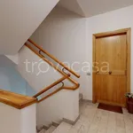 Rent 2 bedroom apartment of 50 m² in Viareggio